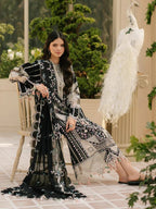 3 Piece - Luxury Embroidered Lawn Suit